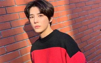 王安宇爆料吴磊了吗视频,独家视频揭秘事件真相  第2张